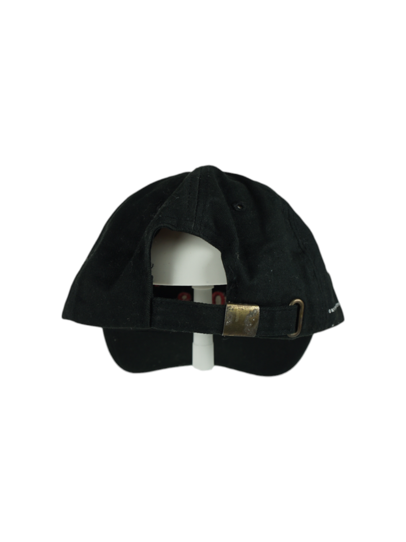 Vintage Aid Walk New York 2018 Black Cap