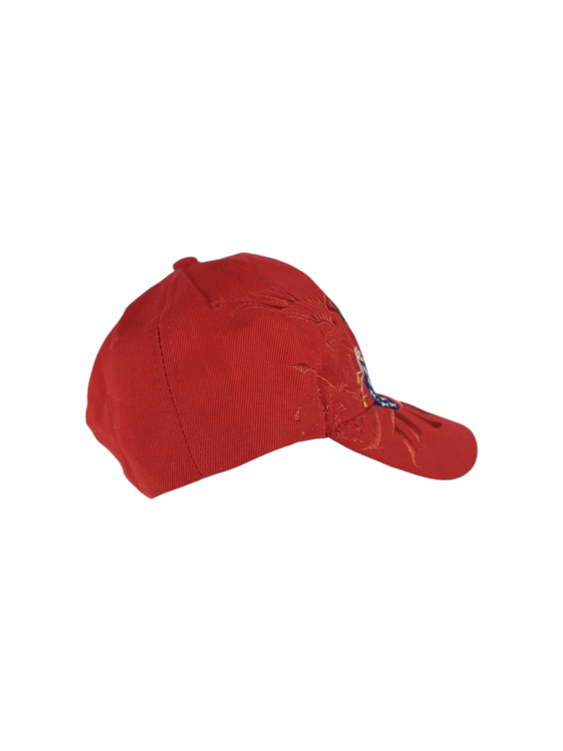 Vintage USA Eagle Embroidered Red Cap